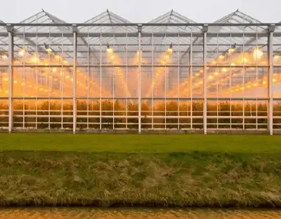 india Greenhouse