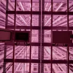 india tissue cultural grow light