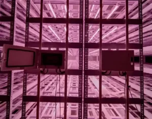 Horticultural Science 14 india tissue cultural grow light