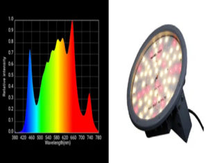 Horticultural Science 13 india Broad Spectrum