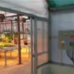 india Wheat Crop Research