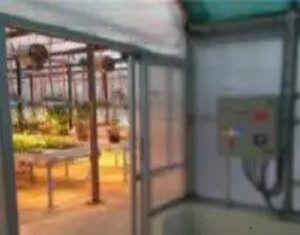 Horticultural Science 11 india Wheat Crop Research