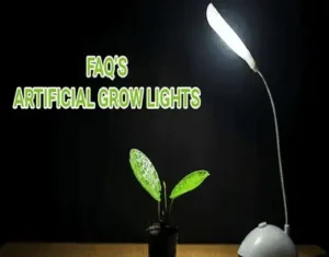 Horticultural Science 9 india artificial light