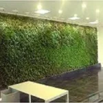 india Green Wall Lighting