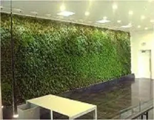 Horticultural Science 8 india Green Wall Lighting