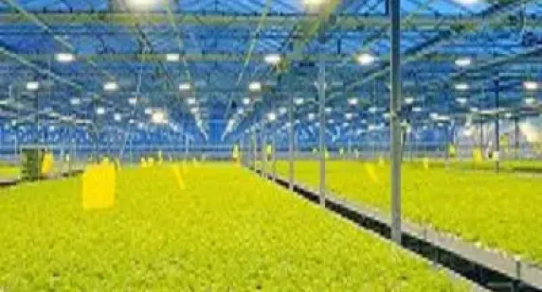 india Supplemental Lights