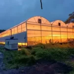 india speed breeding