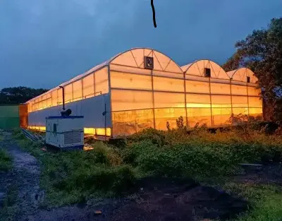 india speed breeding