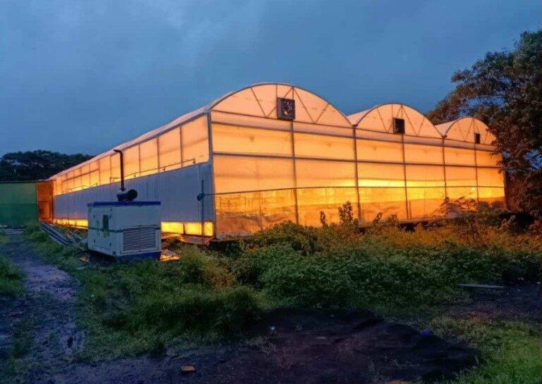 india speed breeding