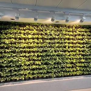 Horticultural Science 3 LED Grow Lights 5