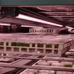 india Benefits Of Switching From CFL To LED Lights