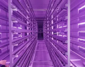 Horticultural Science 11 india Grow Chambers