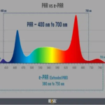 india Difference Between PAR Vs EPAR
