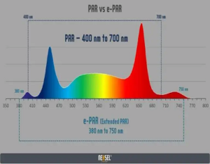 Horticultural Science 7 india Difference Between PAR Vs EPAR