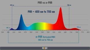 india Difference Between PAR Vs EPAR 2