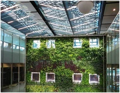 india indoor green wall