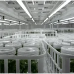 india Plant Tissue Culture Lighting