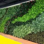 indoor green walls