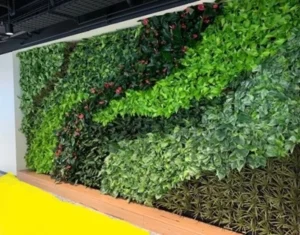 Horticultural Science 3 indoor green walls