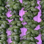 india High-Efficiency LED Lighting