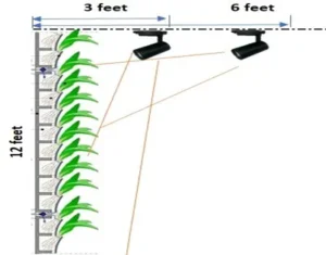 Horticultural Science 11 india green wall