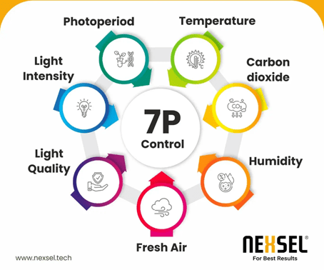 india Speed Breeding techniques 3