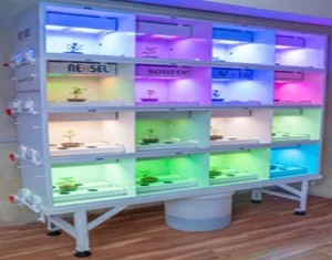 Horticultural Science 9 india Light Recipes