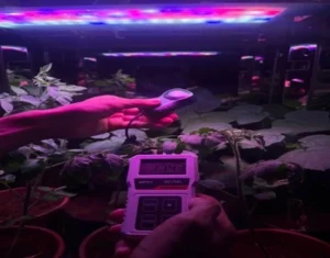 Horticultural Science 6 india Essential Plant Lighting Concepts