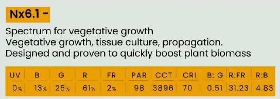 Full spectrum Grow Lights in India