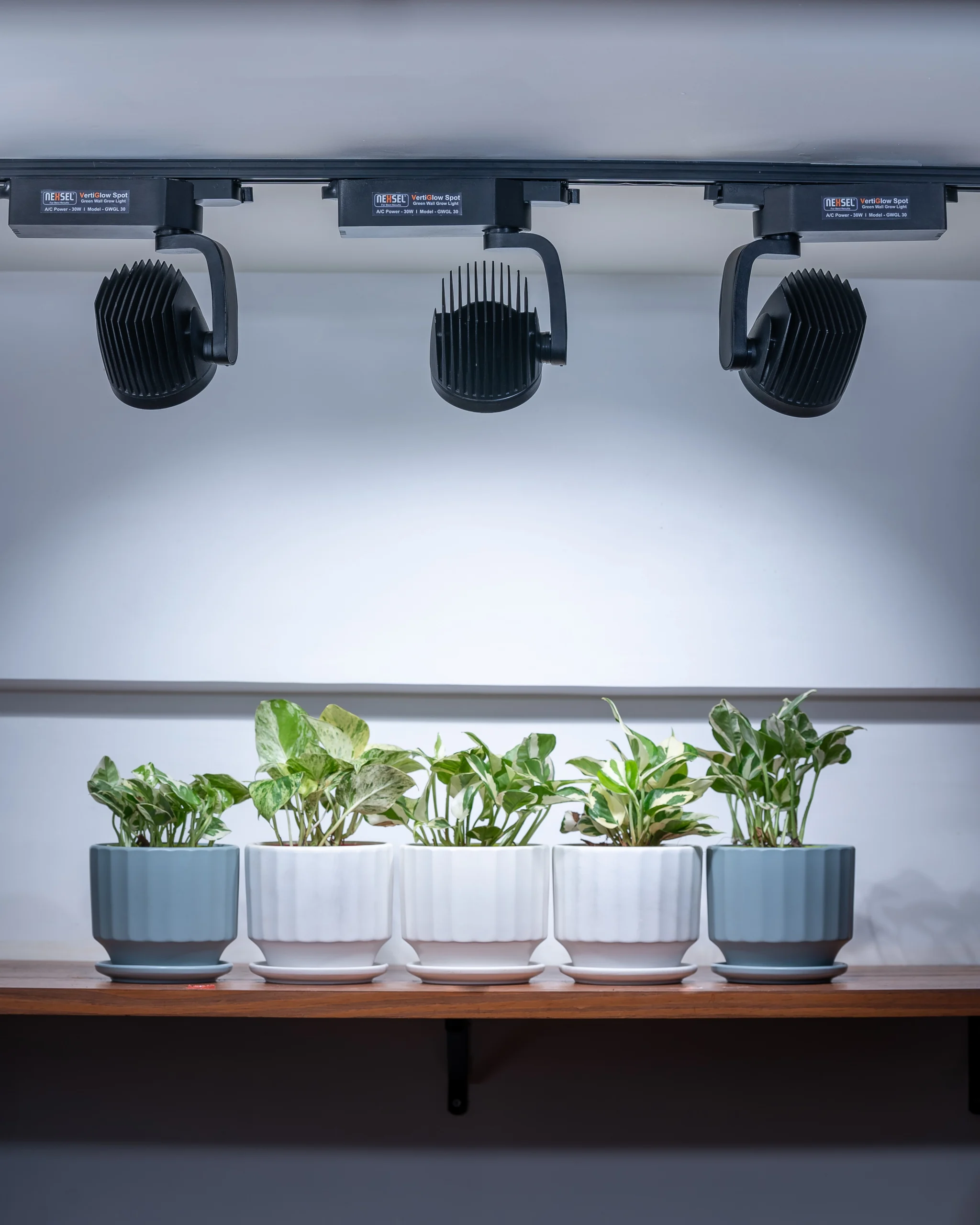 Best grow light for indoor vertical green wall?