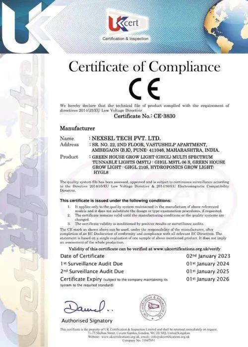 certiificate 3