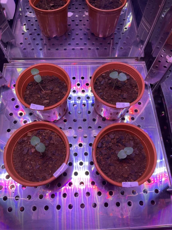 india Smart Grow Cabinet3