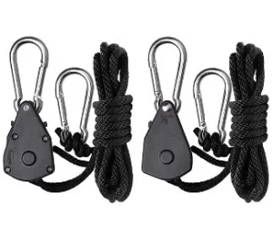 Supplemental Grow Lights 2