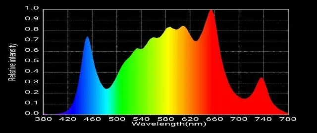 Supplemental Grow Lights 5