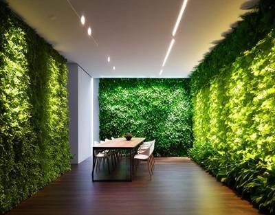 india Living Walls