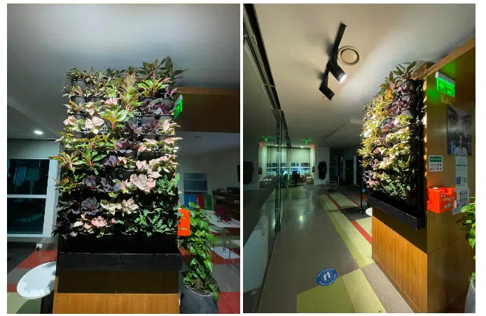 Green Wall Lighting Solution 5