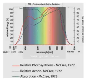 india Green Wall Lighting Solution