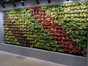 Horticultural Science 79 banner