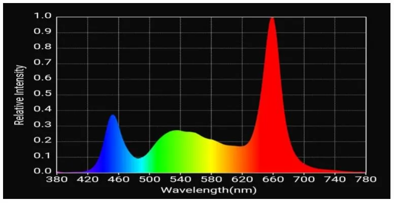 indias Model-TSGL8 2