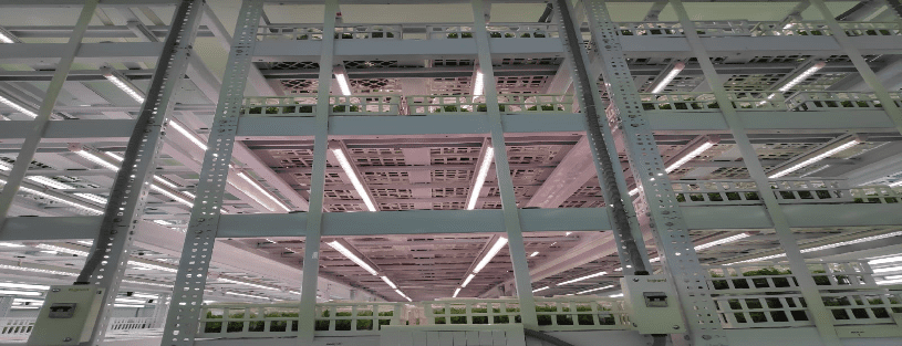 Tissue Culture Grow Light 4