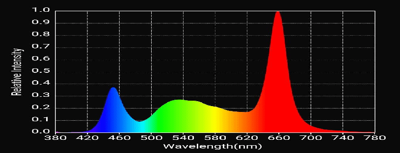 Tissue Culture Grow Light 3