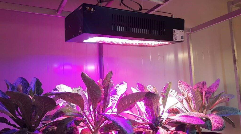 india LED Plant Grow Lights 7