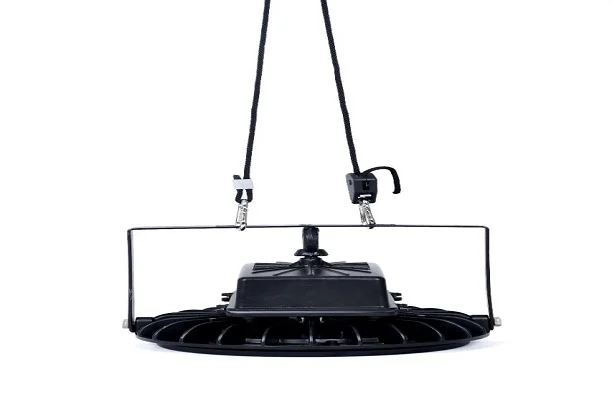 Green Wall Lighting 3