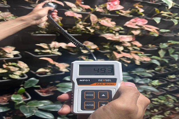 Quantum Sensor -PAR-Meter New Zealand 6 Quantum Sensor6