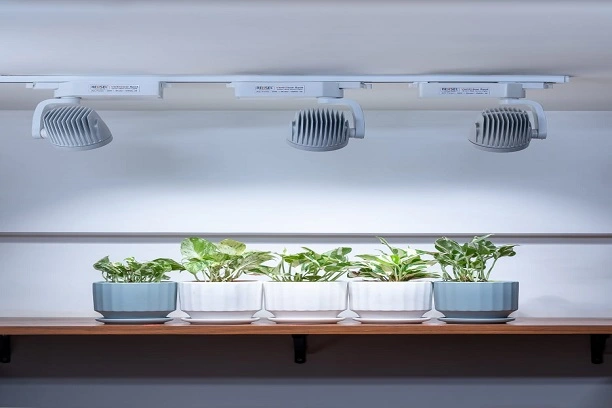 LED Plant Grow Lights 9