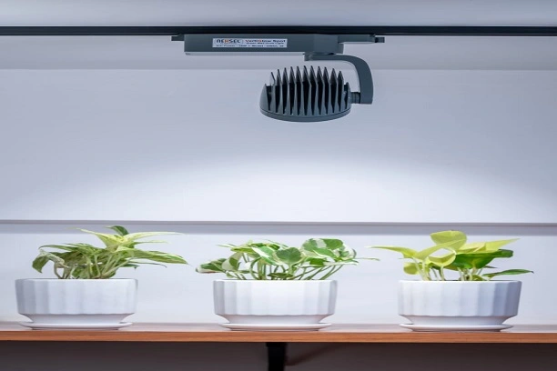 Green Wall Lighting Solution 4