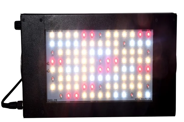 Supplemental Grow Lights 8