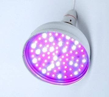 india LED Plant Grow Lights 11