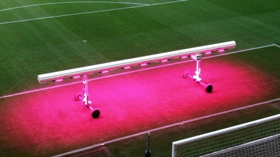 india LED Plant Grow Lights 12