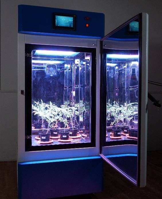 india LED Plant Grow Lights 14